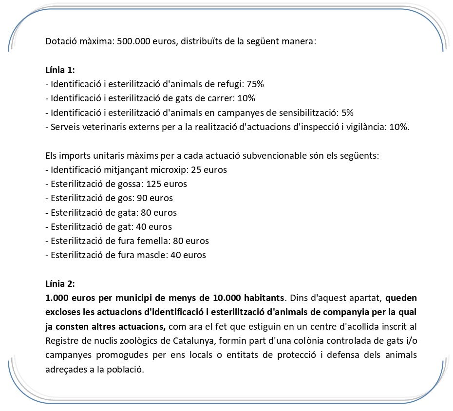 Quantia 1